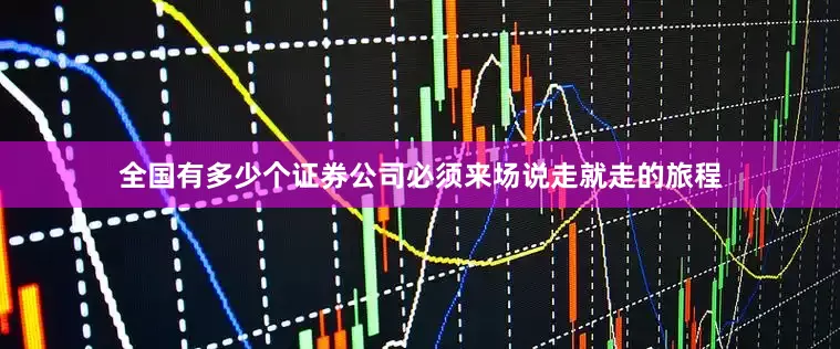 全国有多少个证券公司必须来场说走就走的旅程