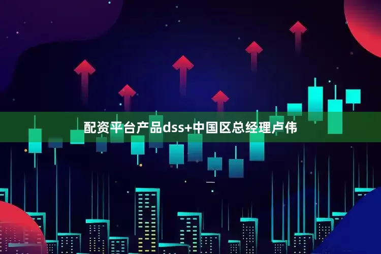 配资平台产品dss+中国区总经理卢伟