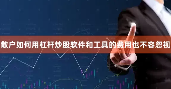 散户如何用杠杆炒股软件和工具的费用也不容忽视