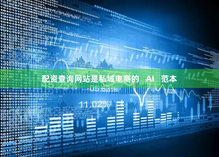 配资查询网站是私域电商的   AI   范本