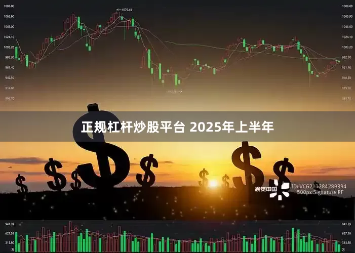 正规杠杆炒股平台 　　2025年上半年