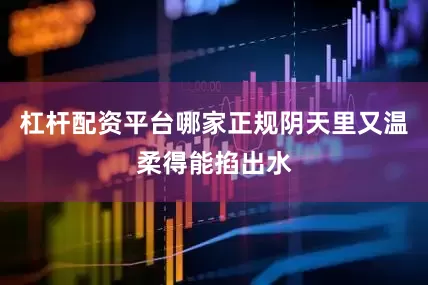 杠杆配资平台哪家正规阴天里又温柔得能掐出水